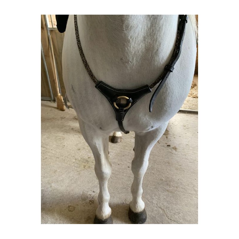 Martingale Cuir noir et corde avec Plastron